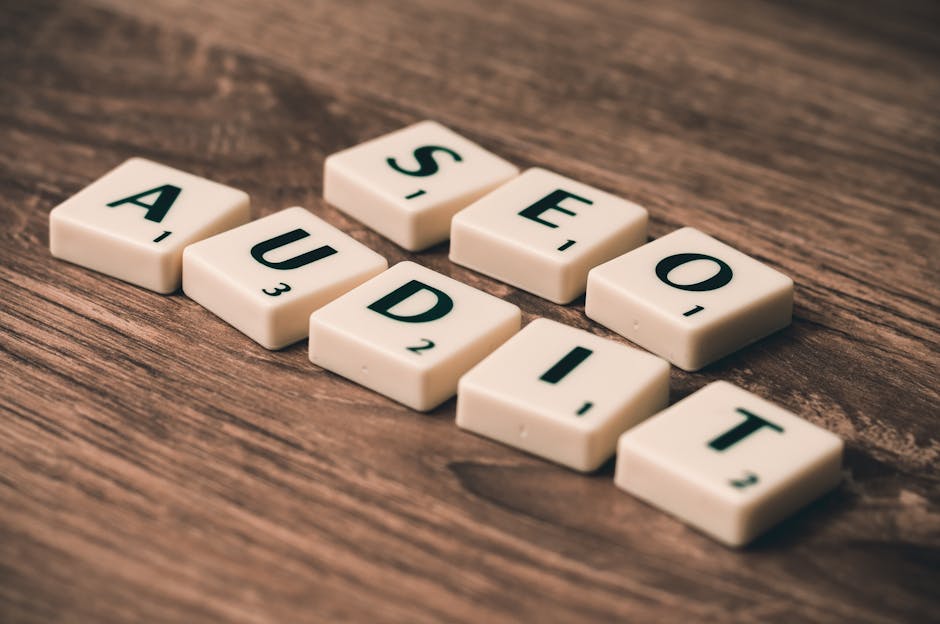 backlink audit seo